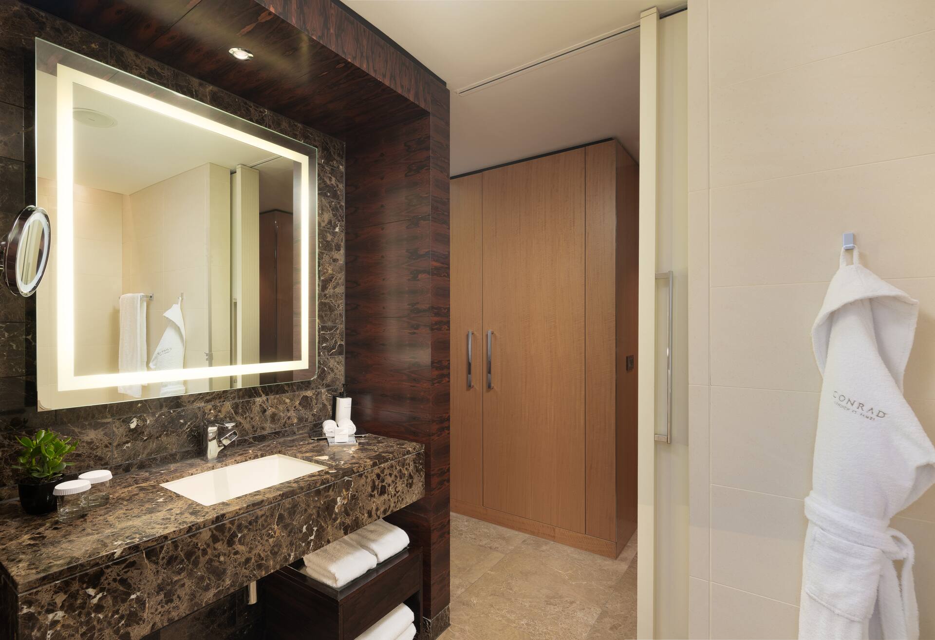 One Bedroom Suite with Lounge Access thumbnail 6