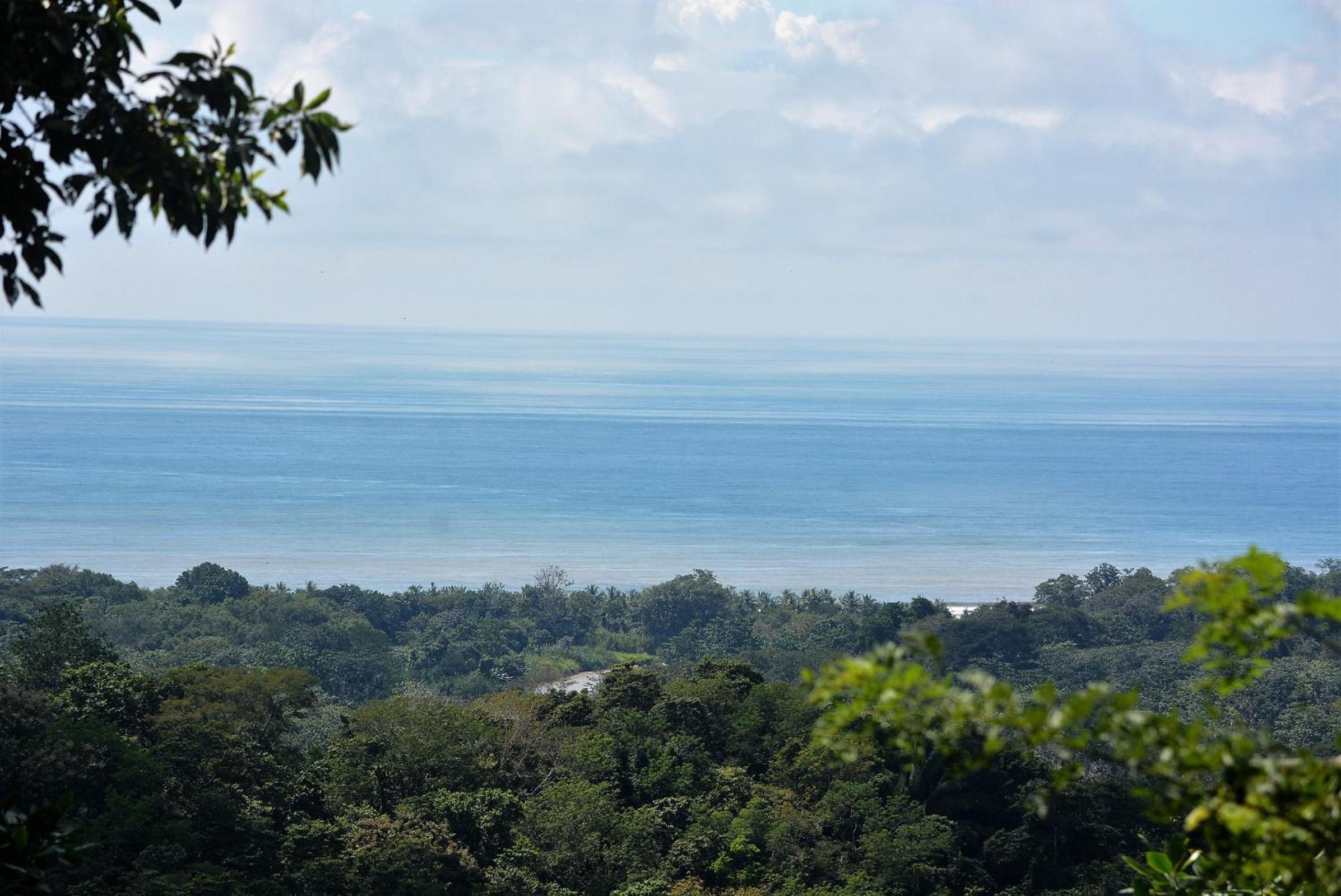 King Suite with Ocean View photo 2