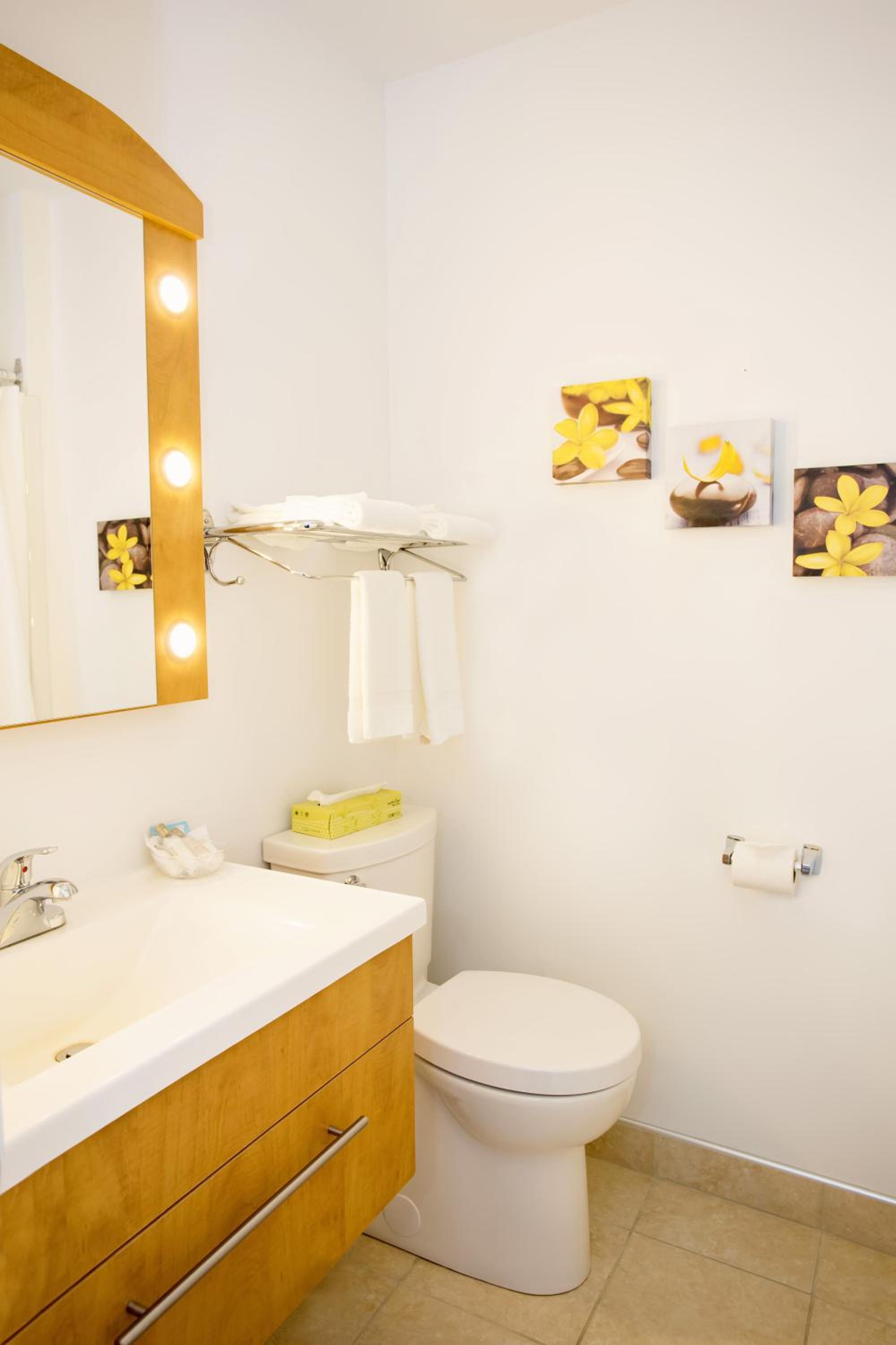 Superior Queen Room