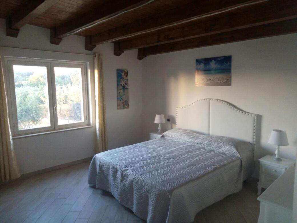 Apartment with Terrace photo 3