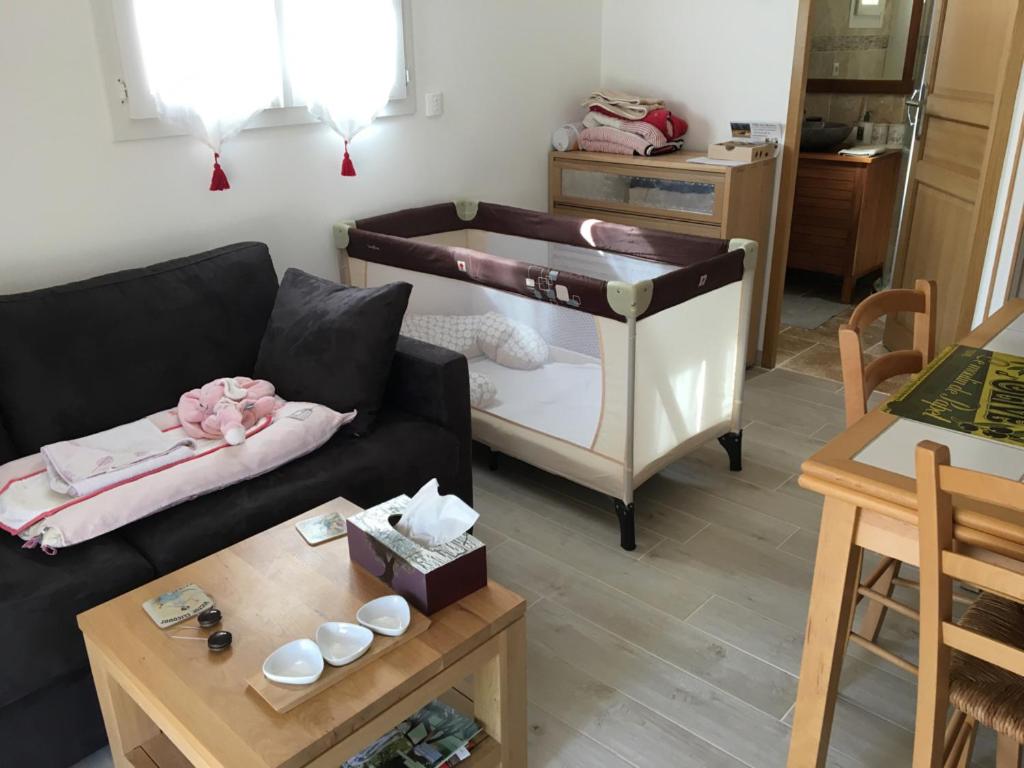 Family Suite photo 3