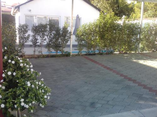 Apartment with Pool View  photo 2