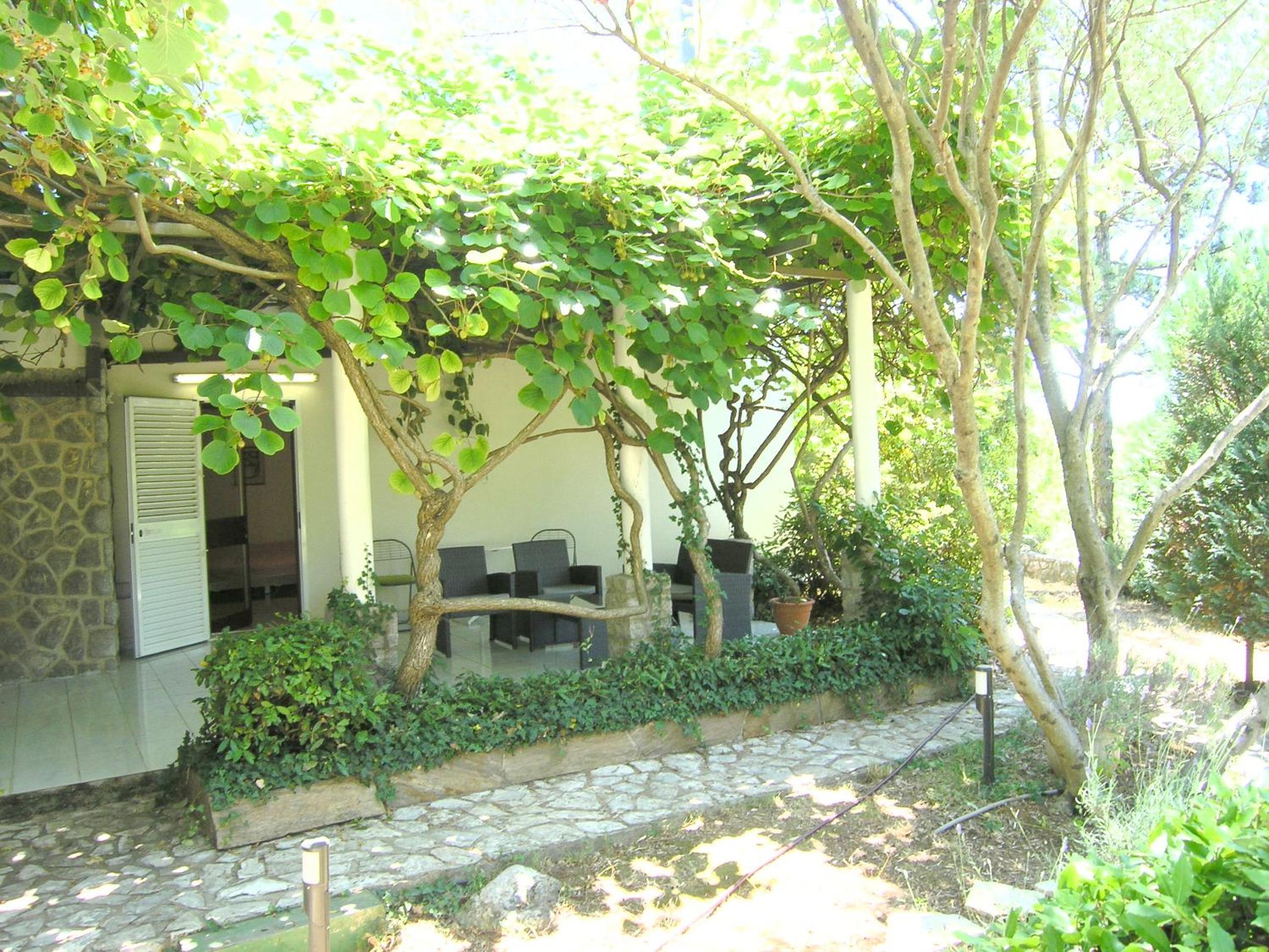 Studio with Garden View