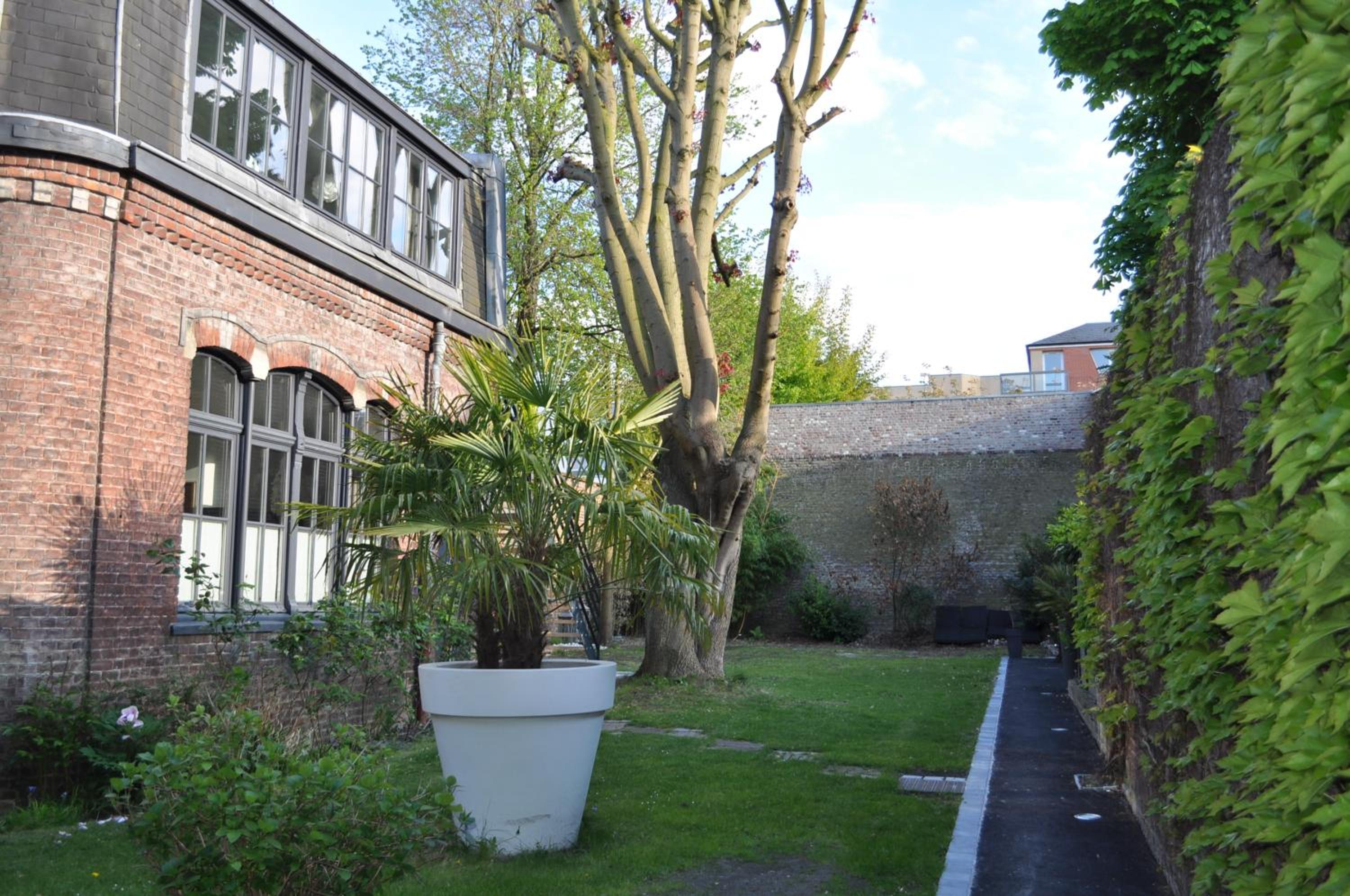 Studio with Garden View - Photo 2
