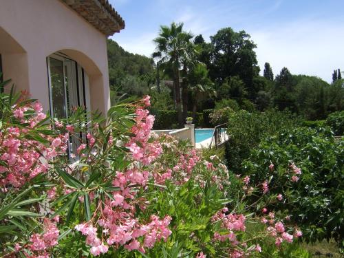 Standard Double or Twin Room with Garden View