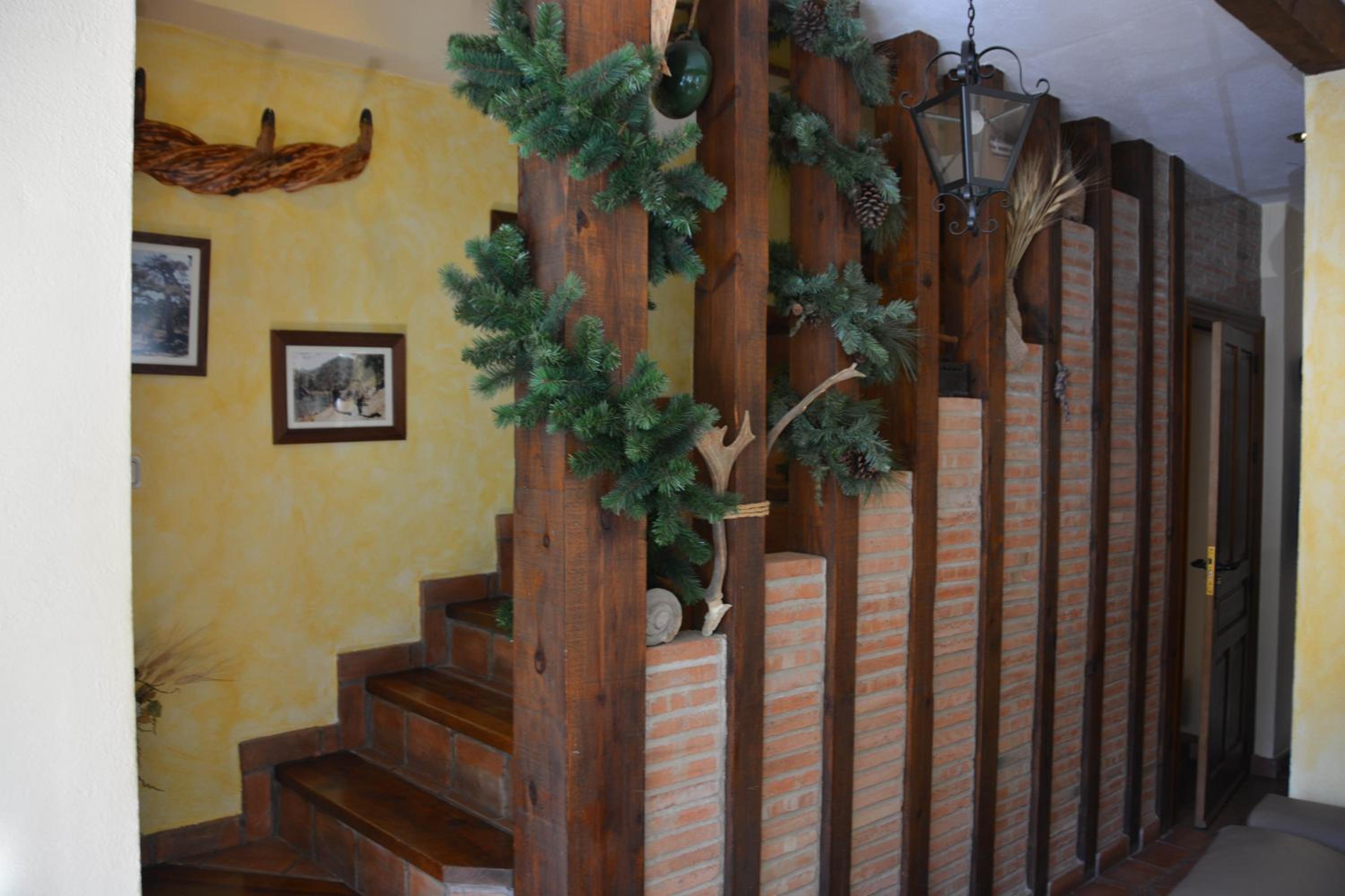 One-Bedroom House photo 3