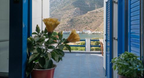 Apartment with Sea View photo 1