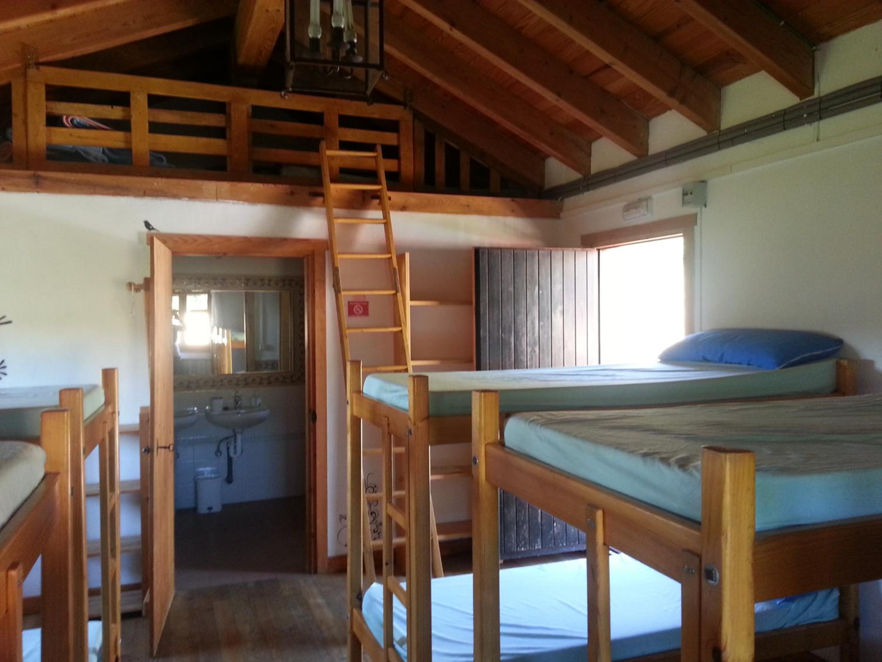 Bunk Bed in Mixed Dormitory Room
