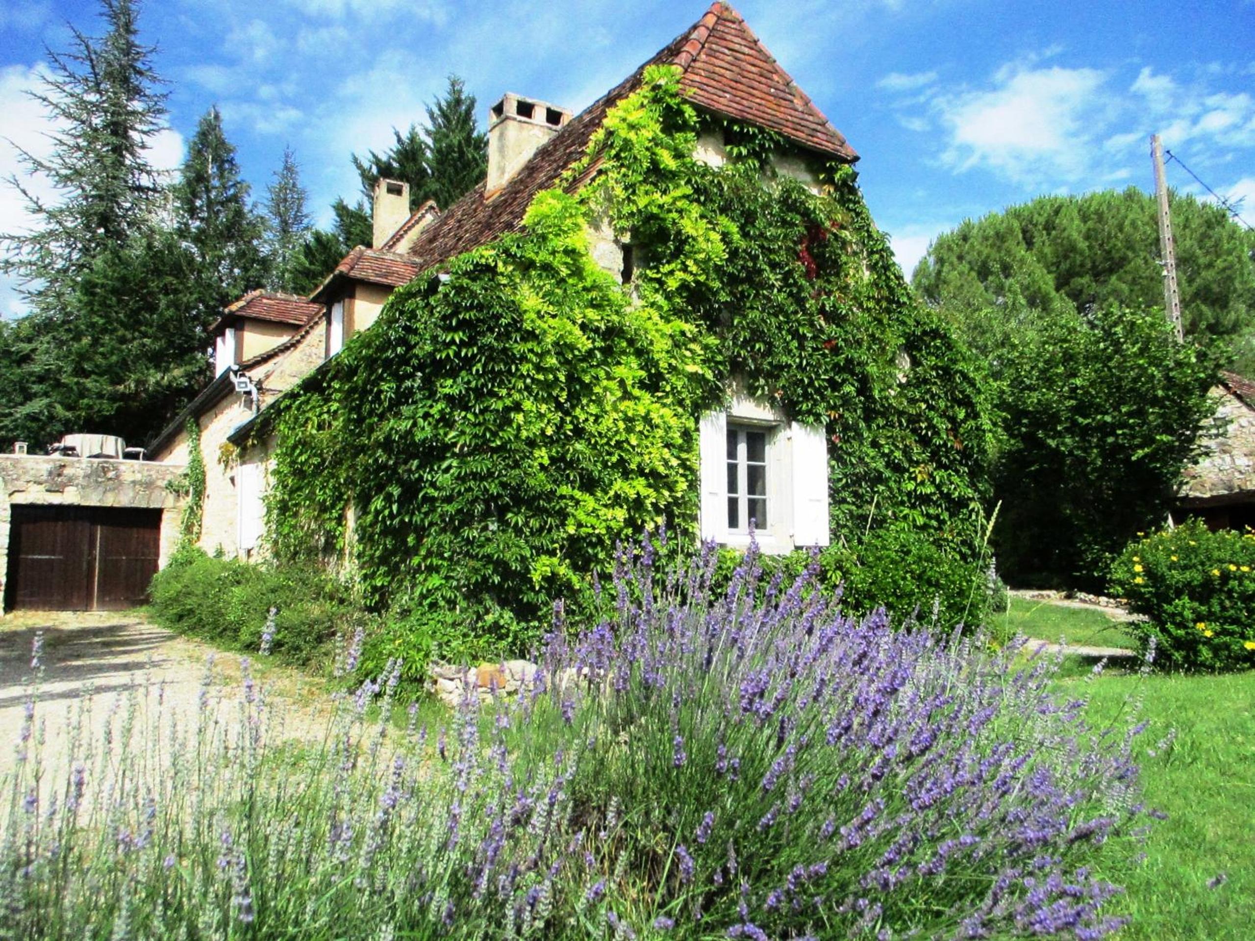Two-Bedroom House photo 3