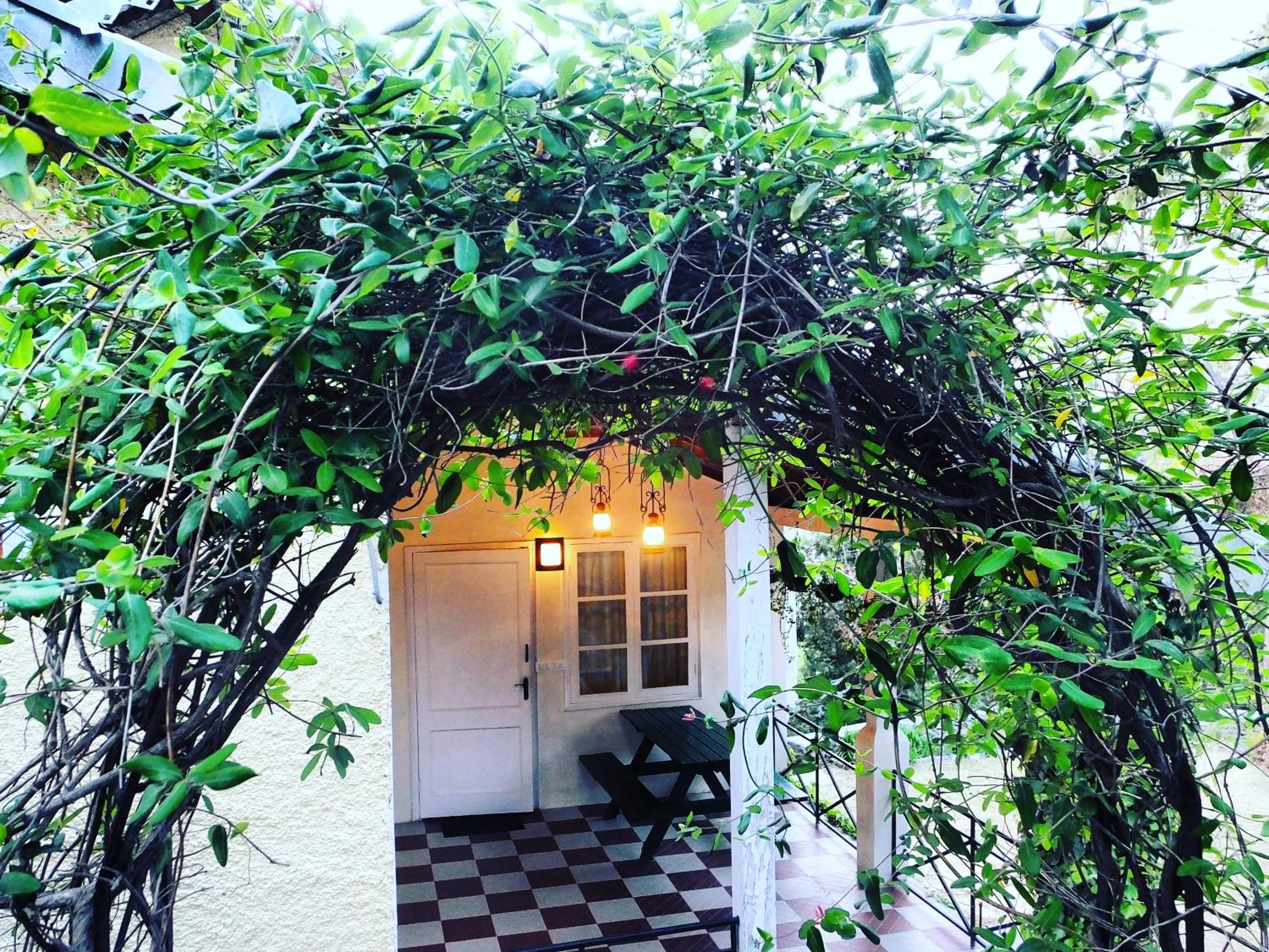 Three-Bedroom Chalet photo 1