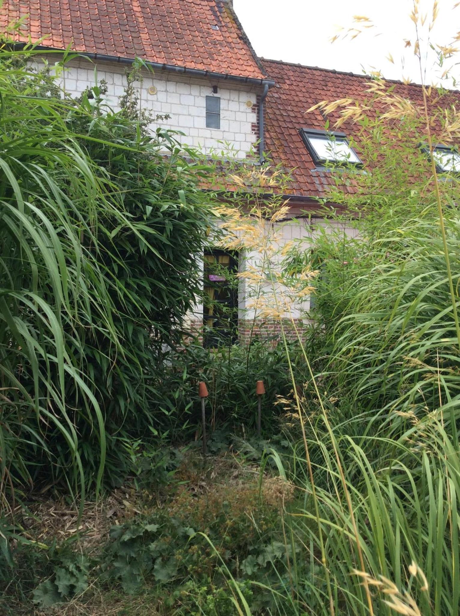 Two-Bedroom House - Photo 3