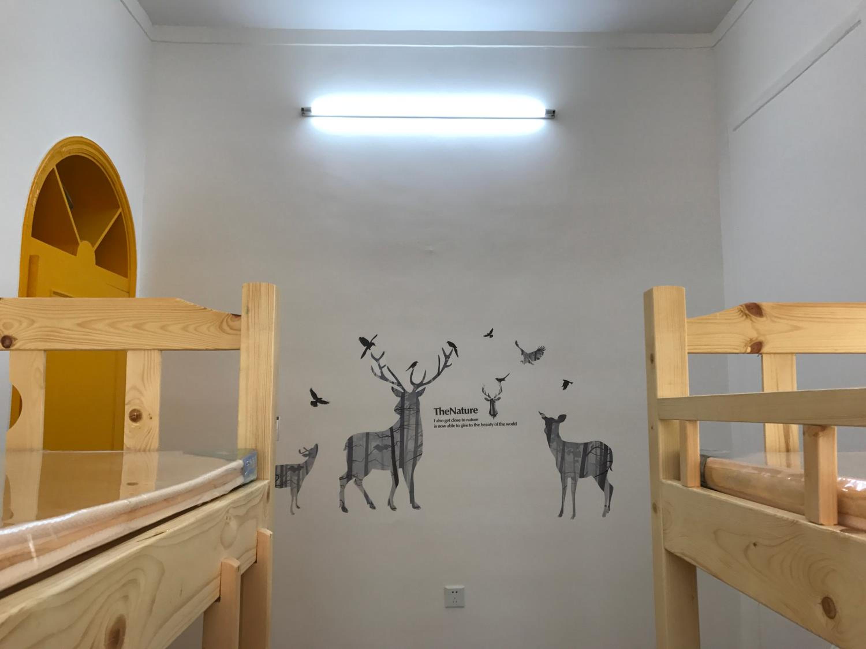 Bed in 6-Bed Female Dormitory Room photo 1