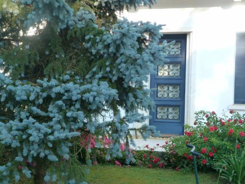 Double Room with Garden View - Photo 1