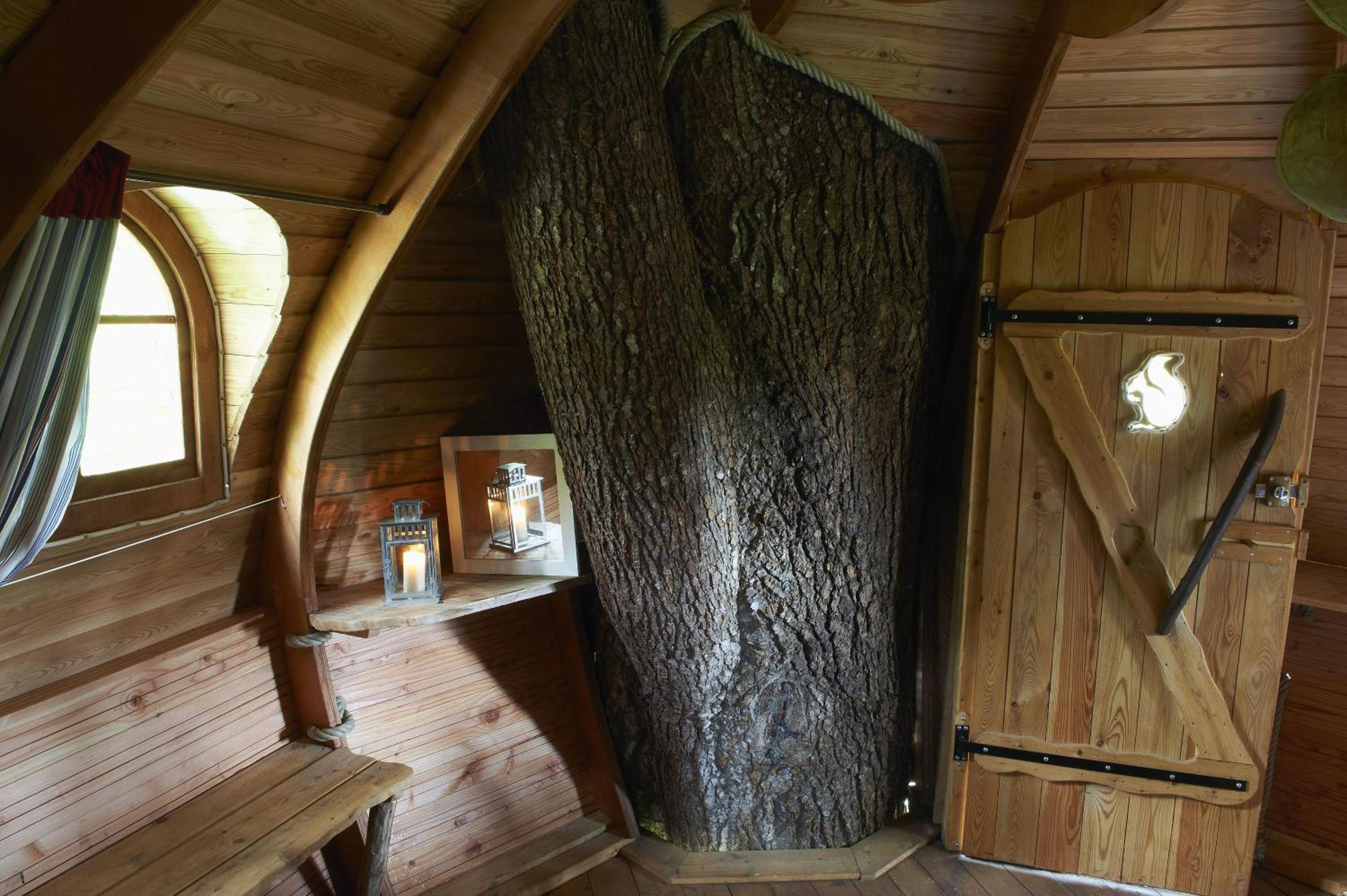 Family Tree House (6 Persons) photo 2