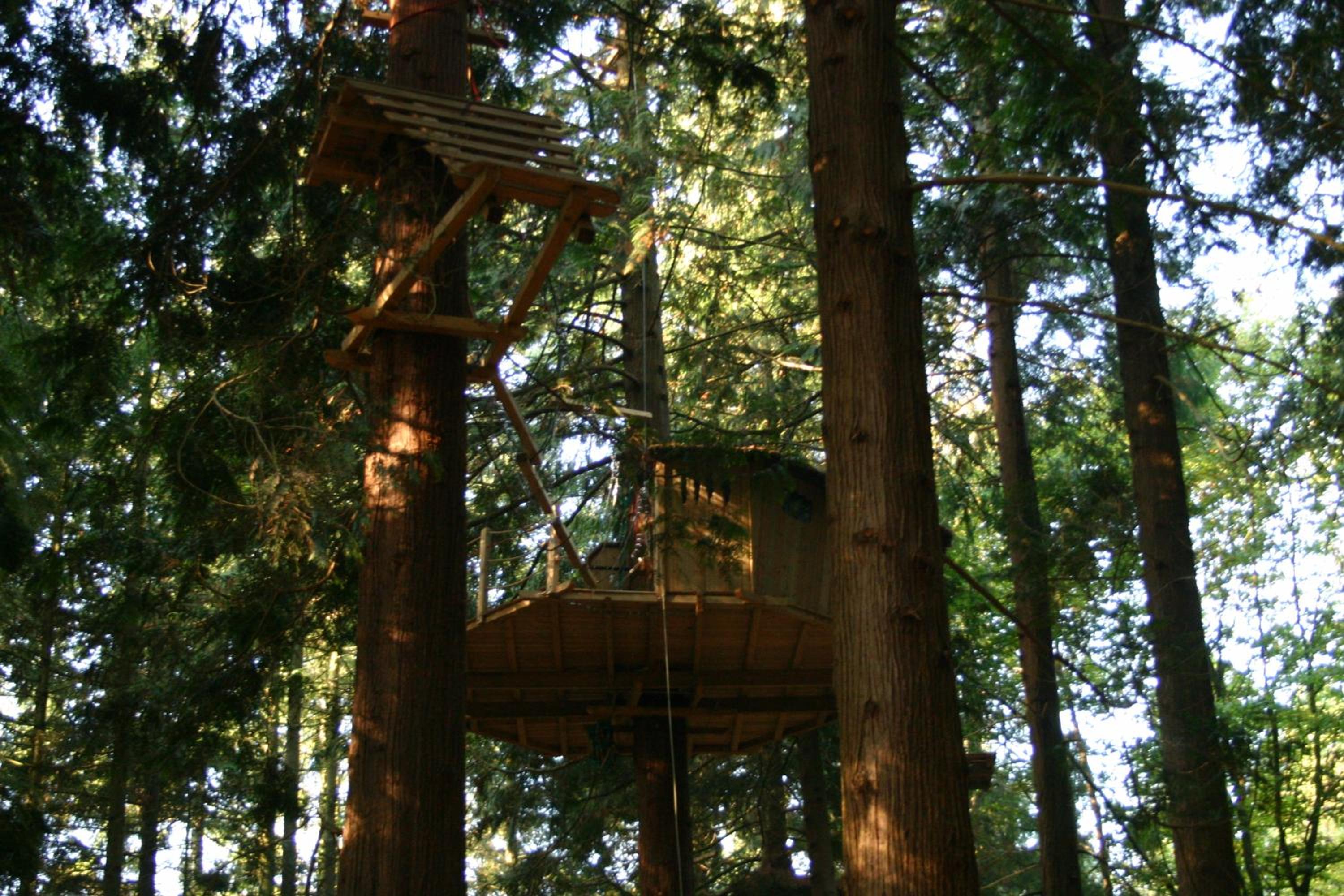 Tree House (2 Adults) photo 2