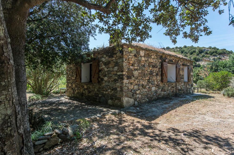 One-Bedroom House photo 1