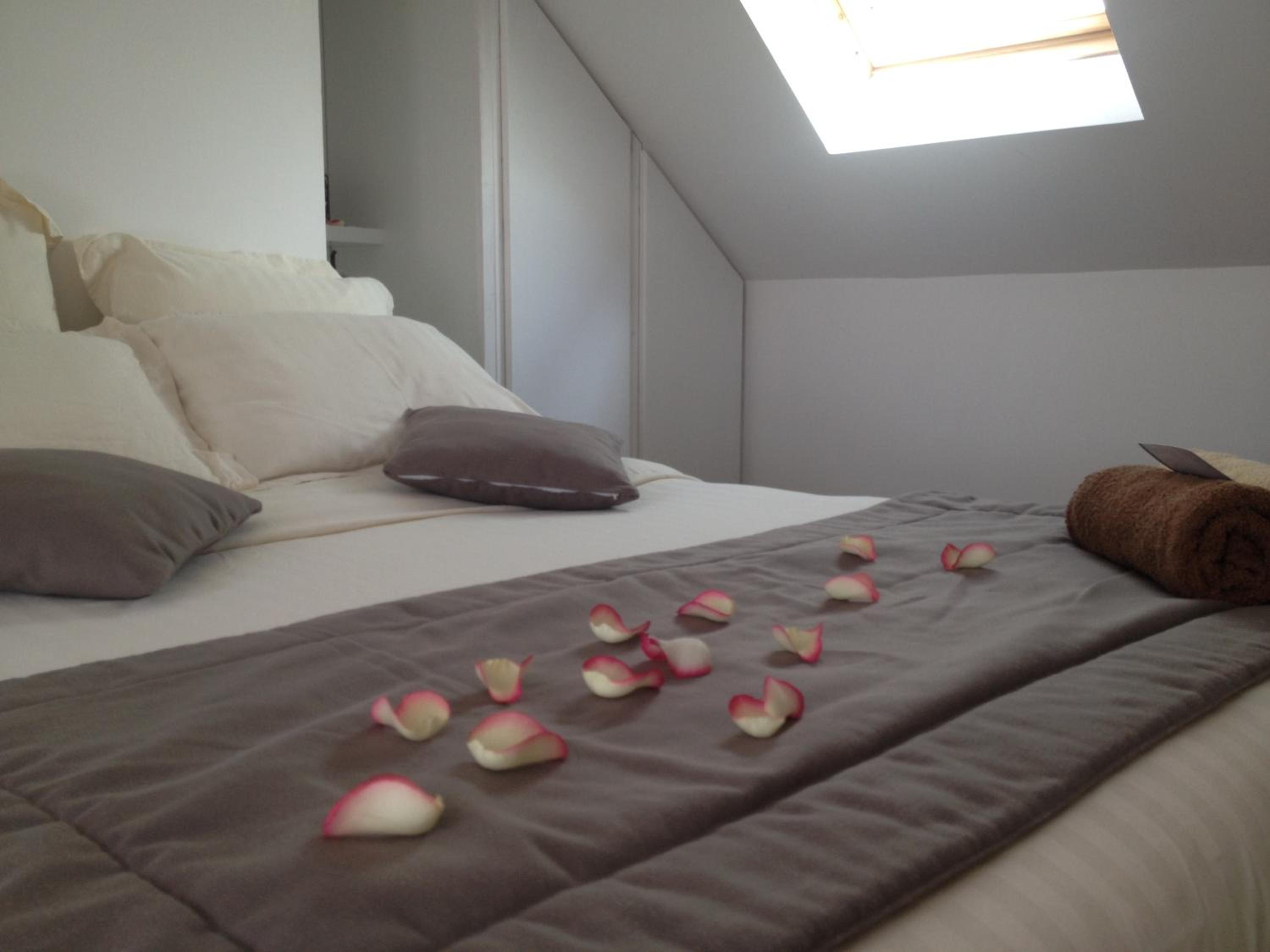 Deluxe Double or Twin Room with Ocean View photo 2