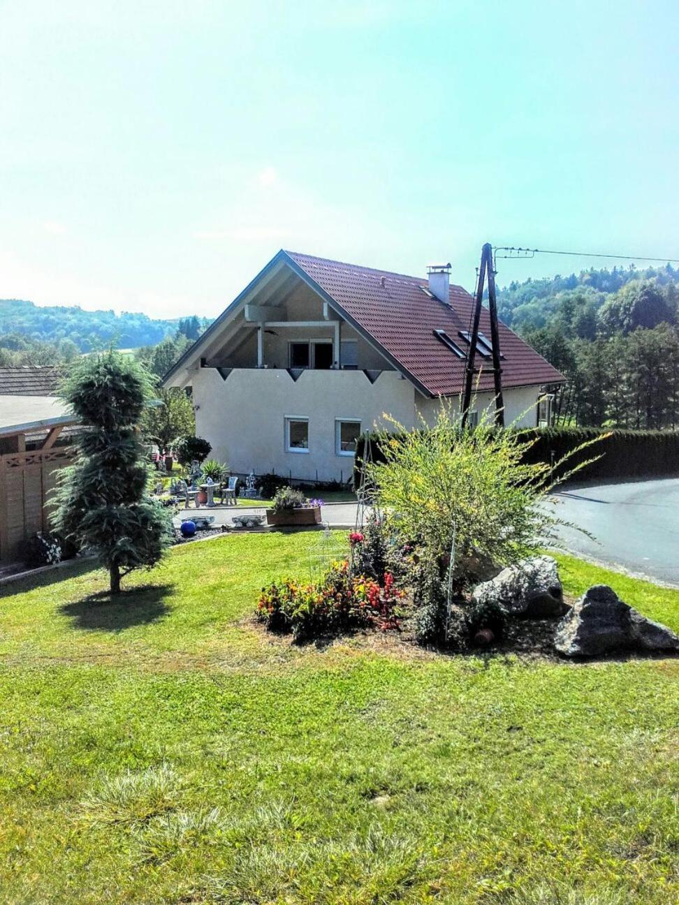 Apartment with Terrace photo 2