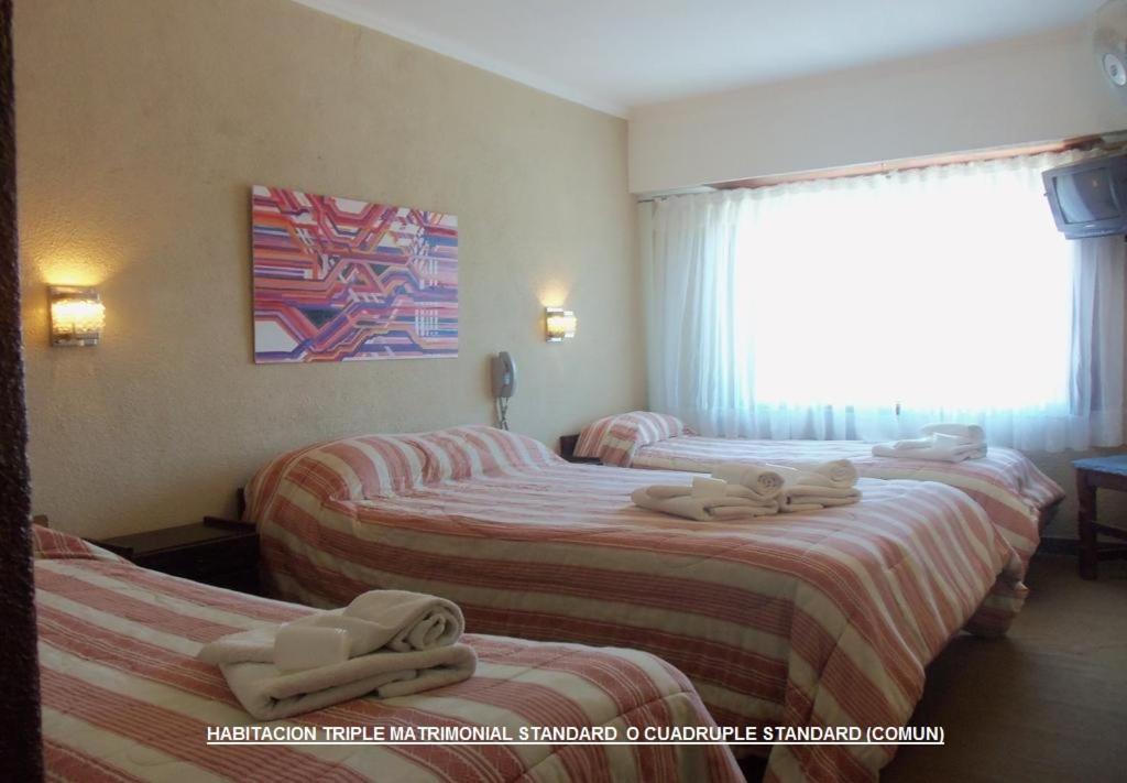 Economy Quadruple Room