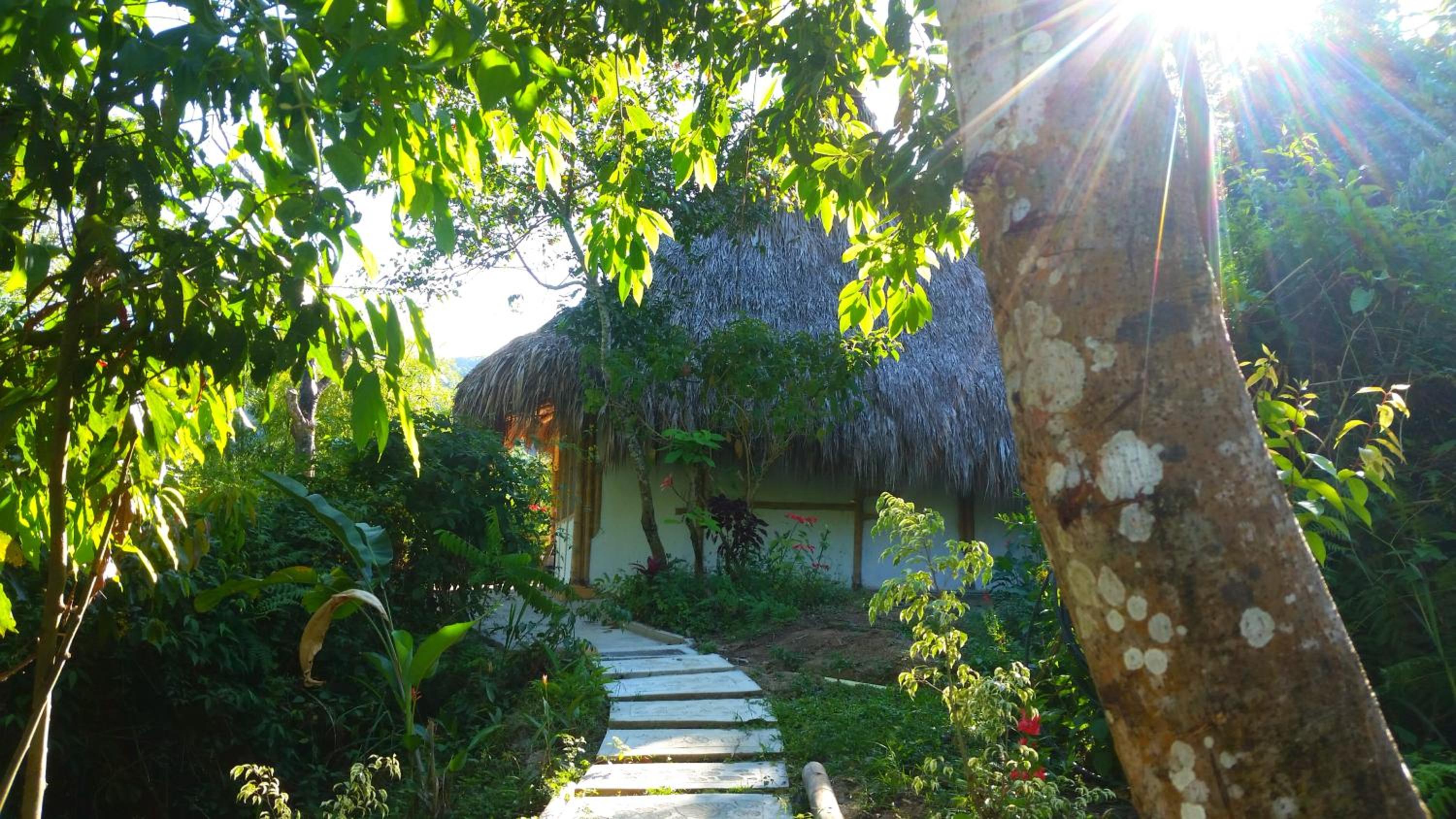 Deluxe Bungalow with Garden View