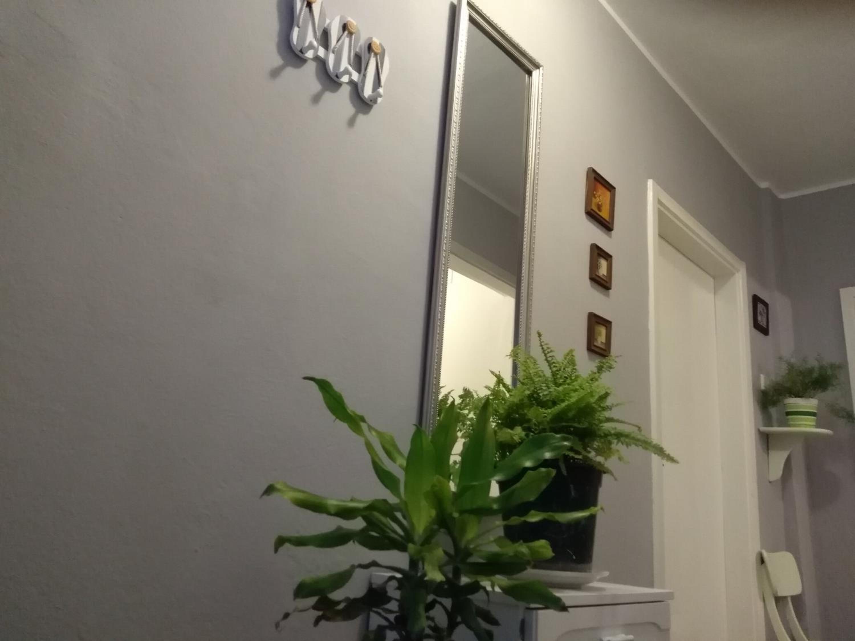 Apartment with Garden View - Photo 1