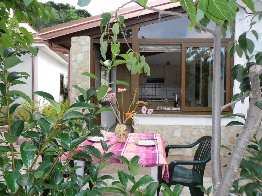 Studio with Garden View