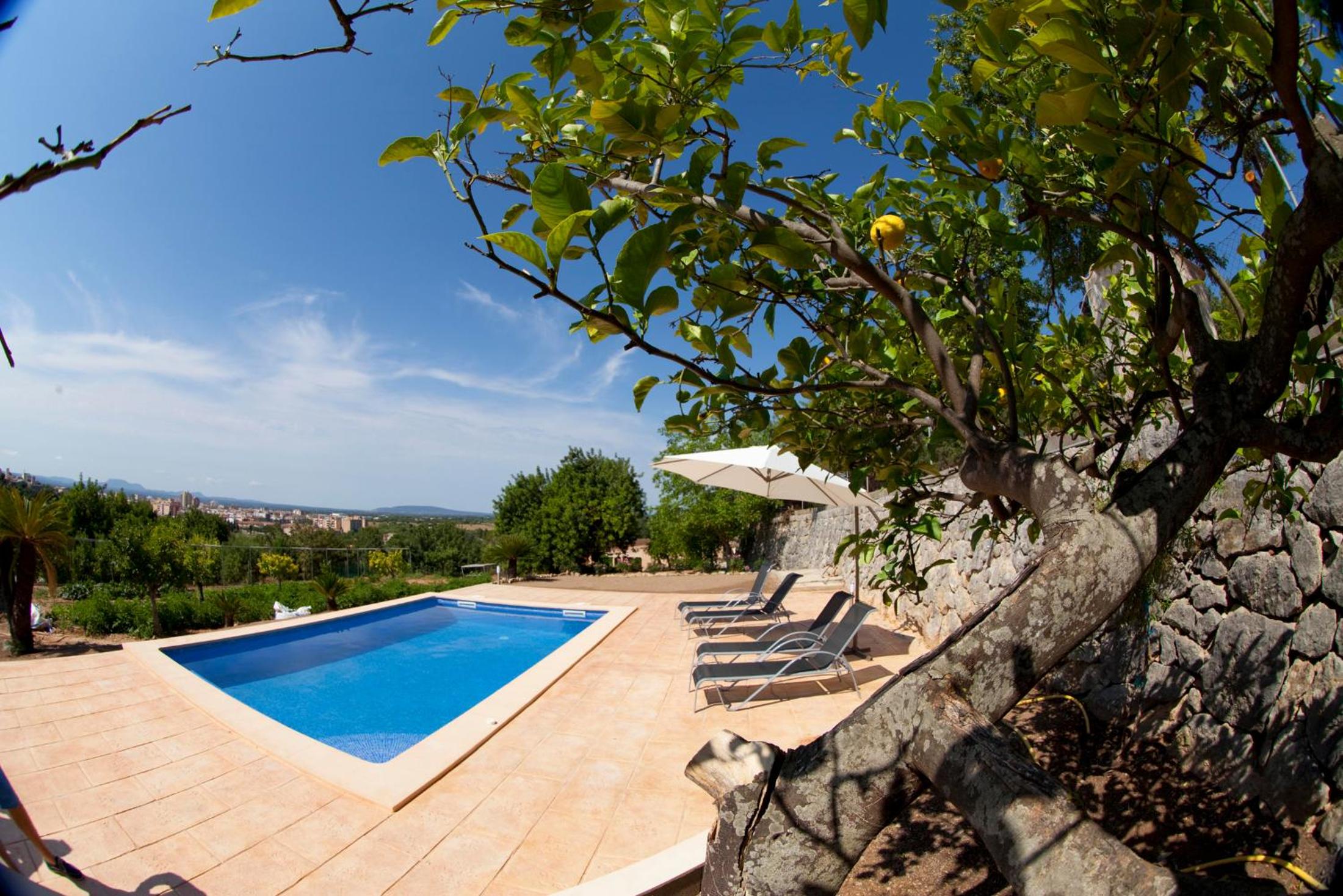 Villa photo 3