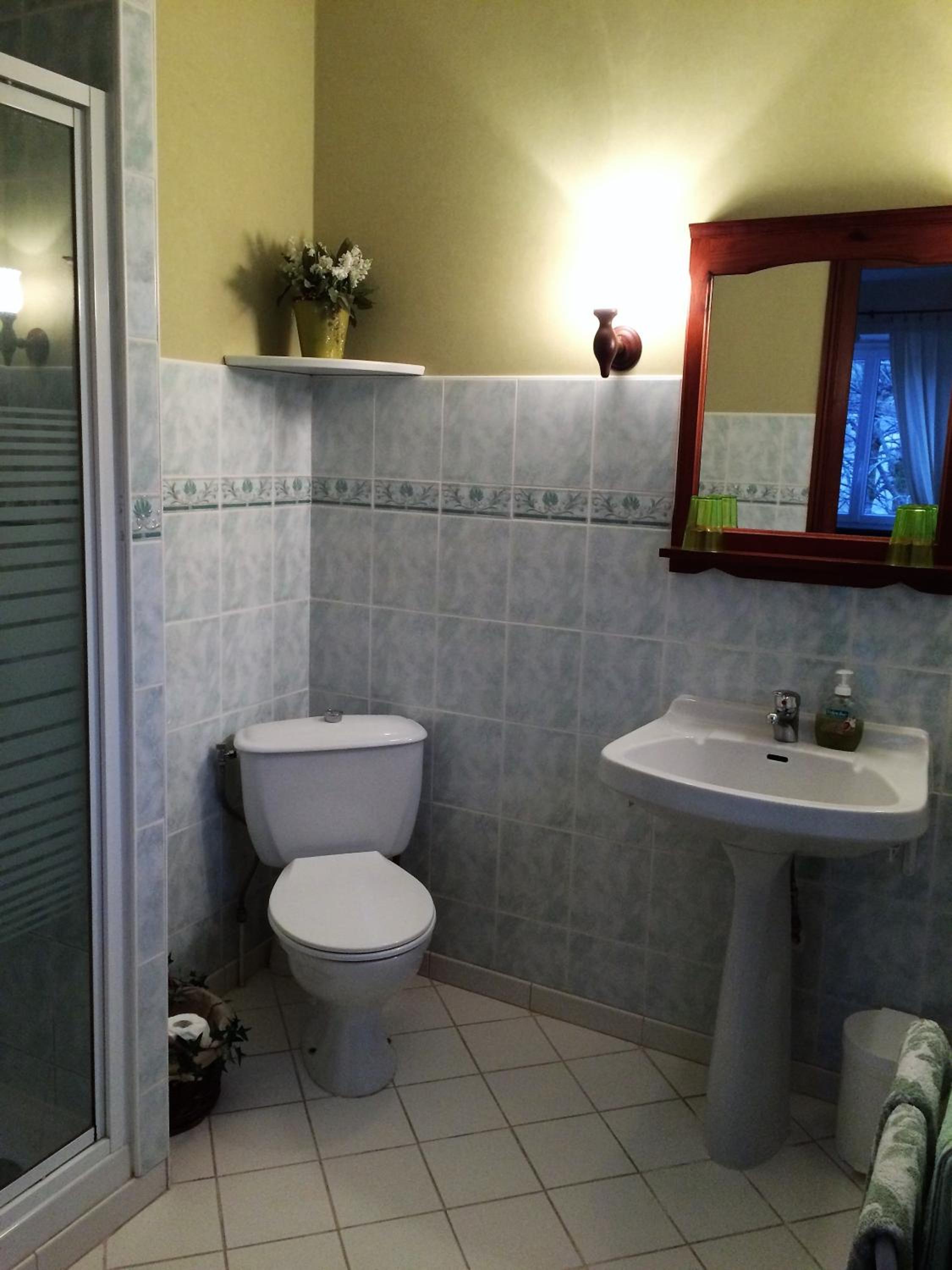 Large Double or Twin Room