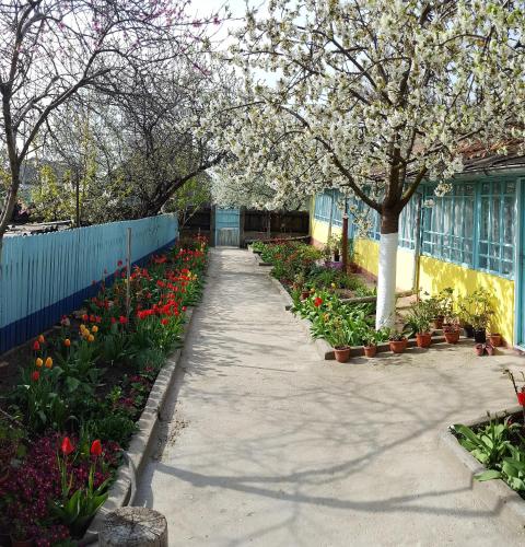 Holiday Home - Photo 39