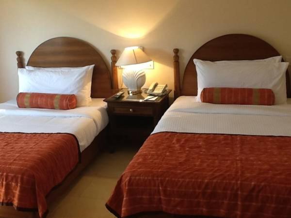 Deluxe Twin Room photo 3