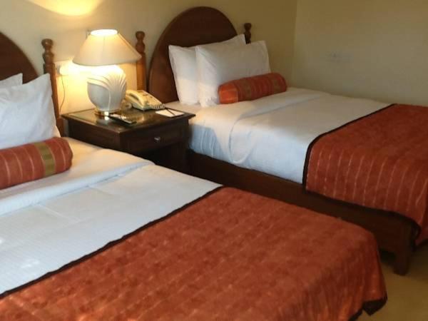 Deluxe Twin Room photo 2