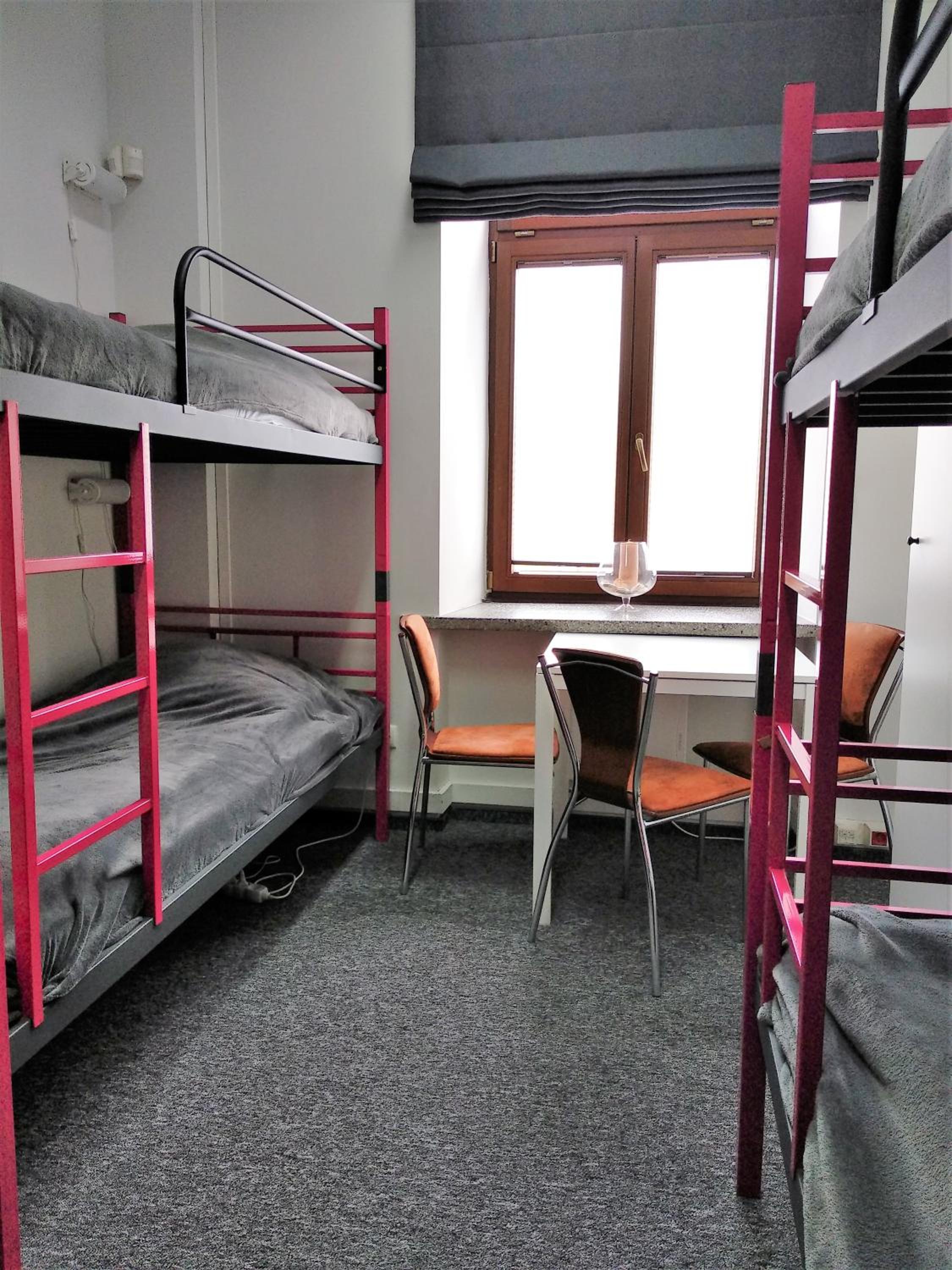 Bunk Bed in Mixed Dormitory Room photo 3