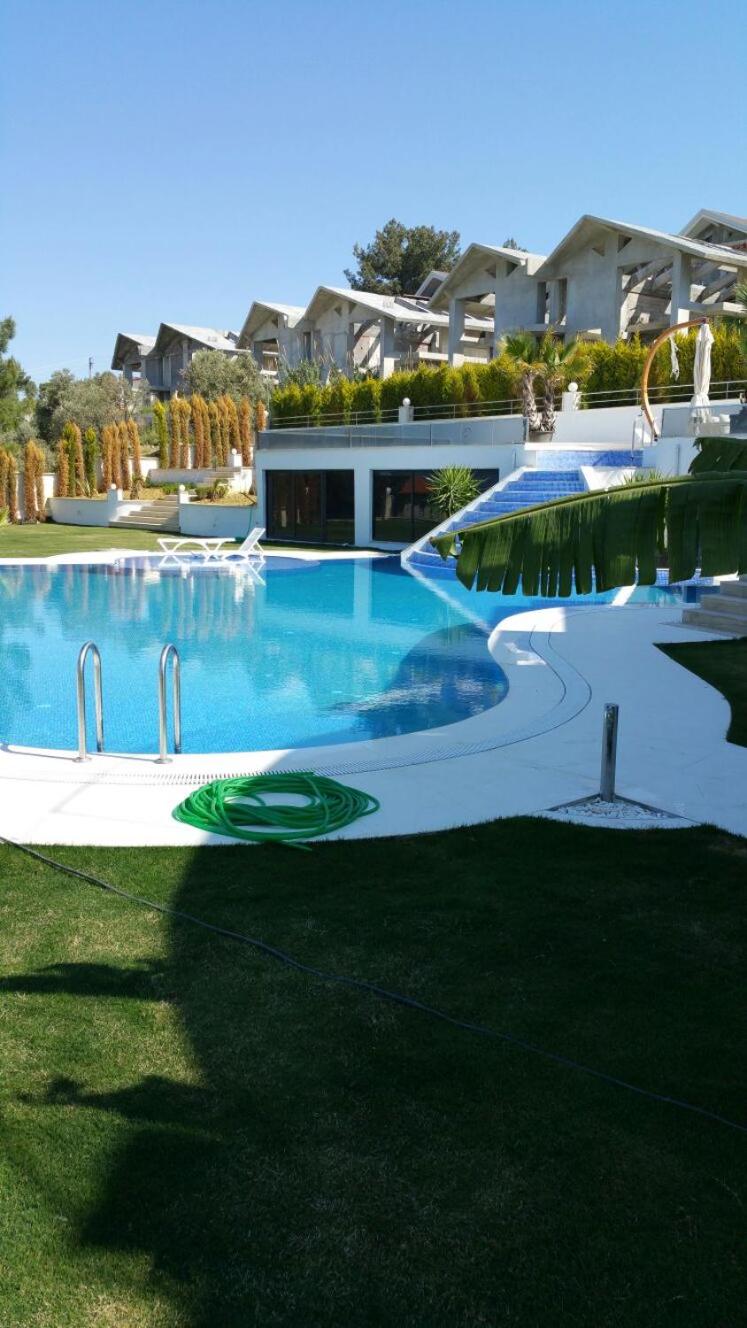 Superior Villa