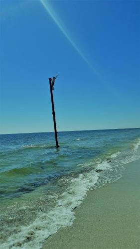 Holiday Home - Photo 21