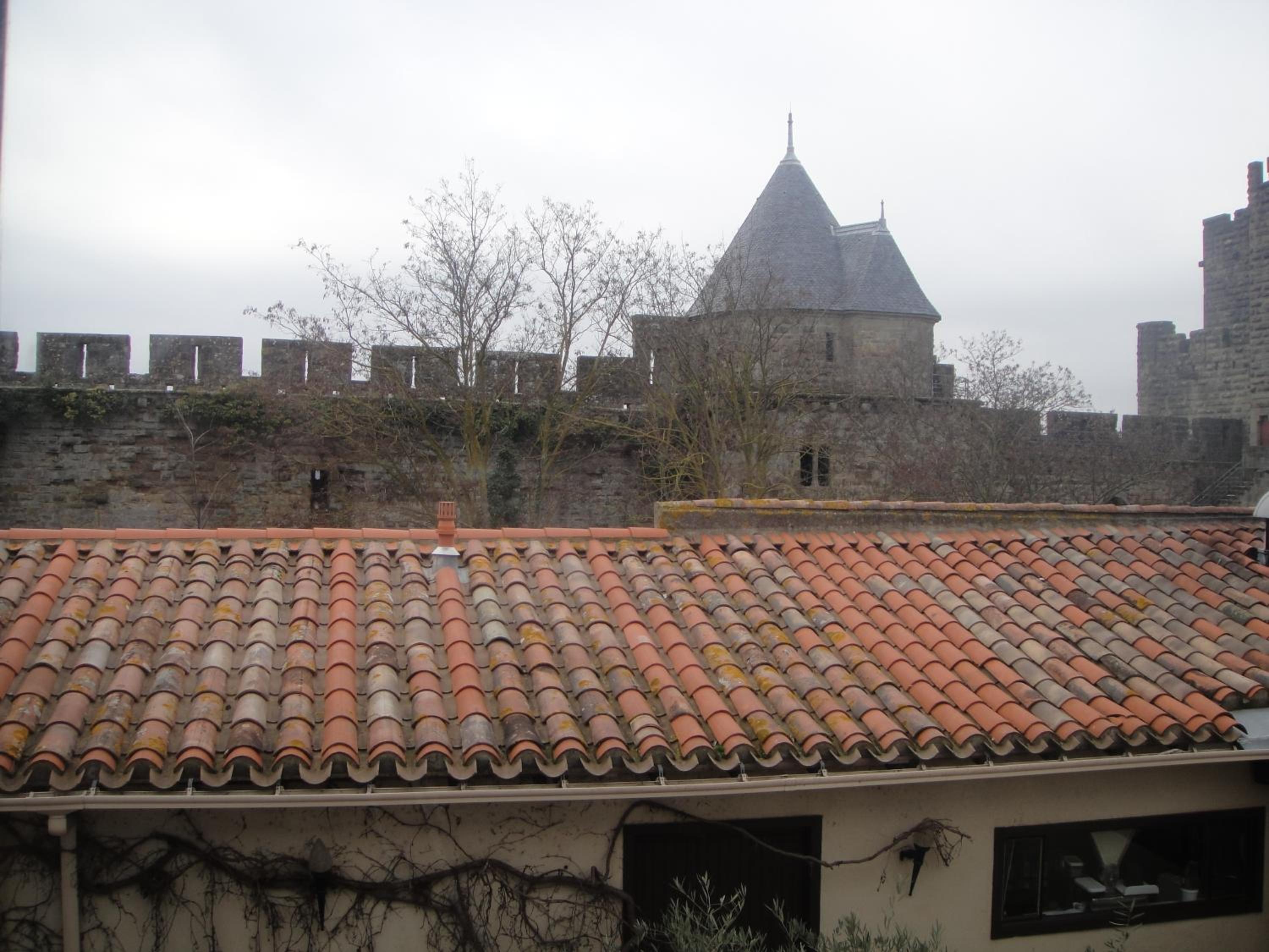 Suite - Photo 7