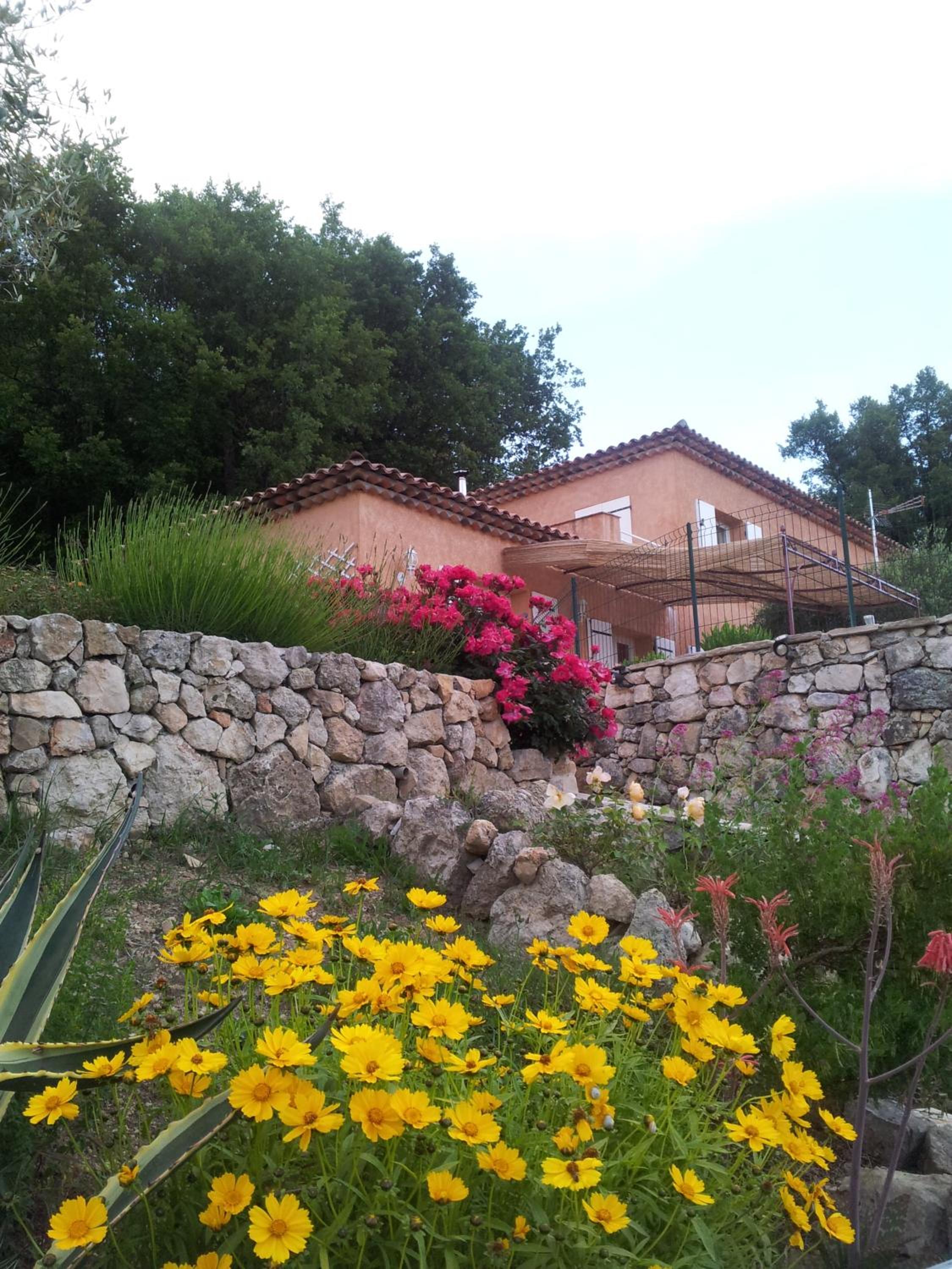 Double Room with Garden View photo 2