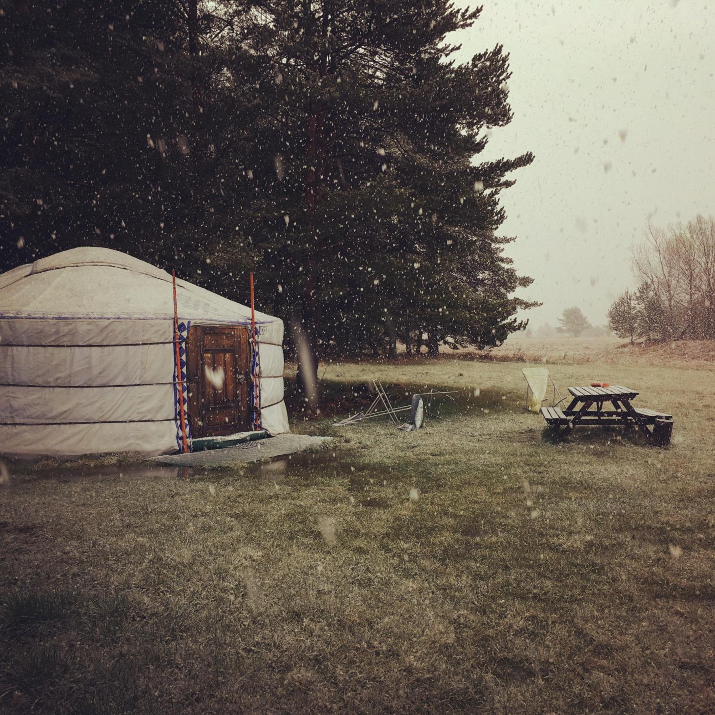 Yurt (4 Persons) photo 1