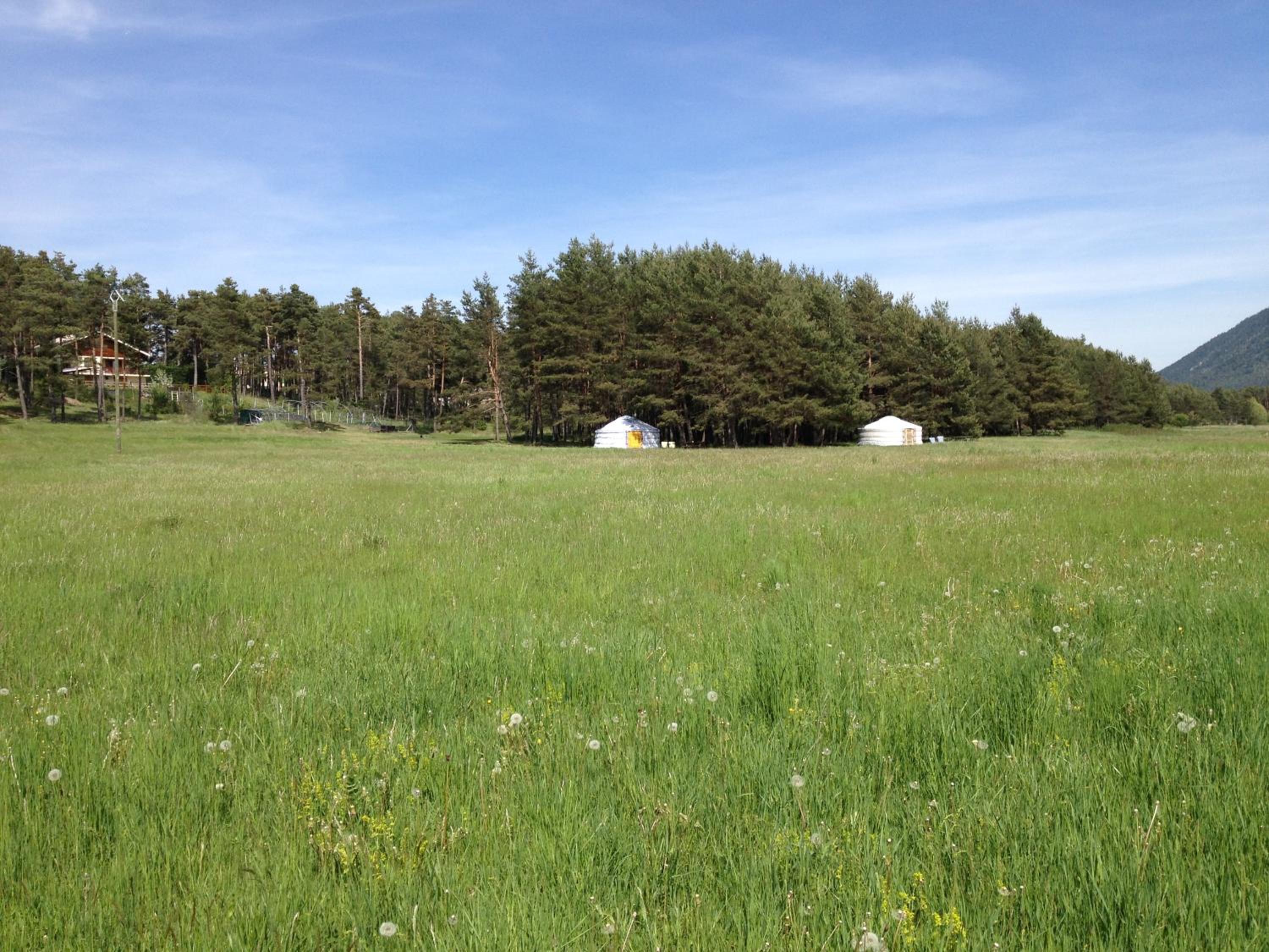 Yurt (4 Persons) photo 2