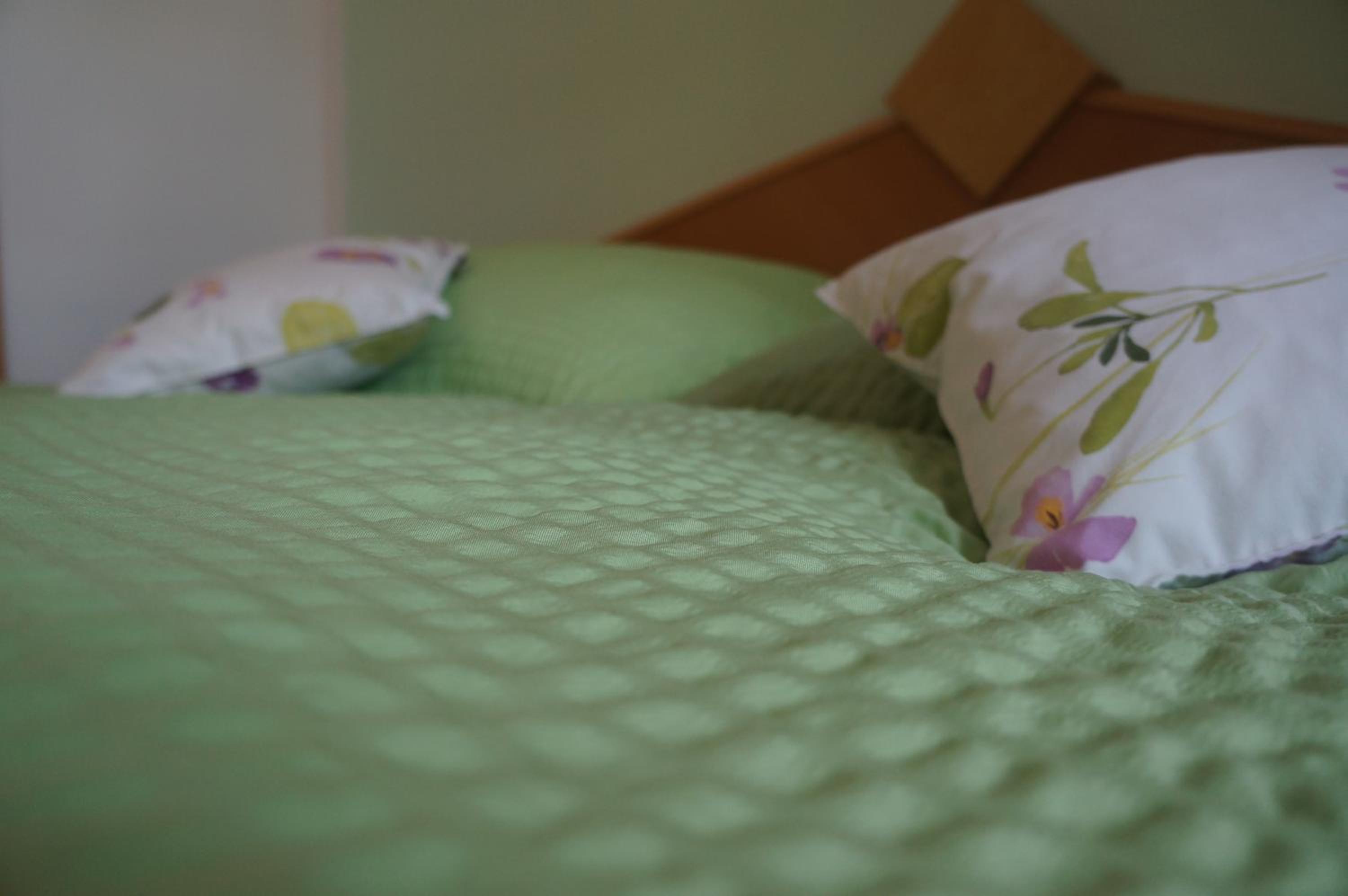 Double Room with Garden View photo 3