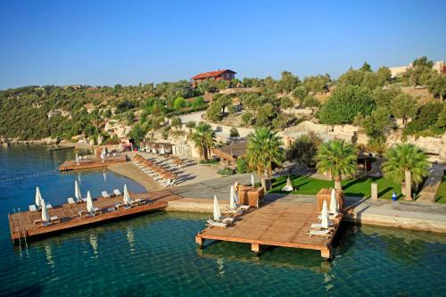 Superior Double Room photo 1
