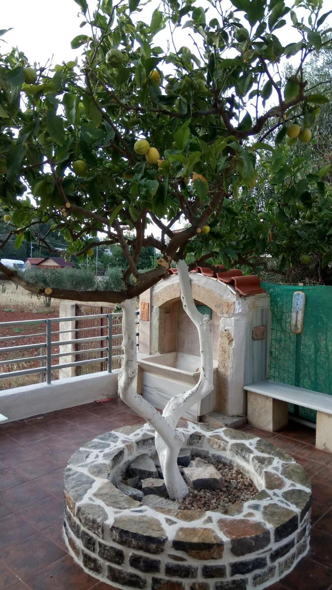 Apartment - Split Level - Photo 18