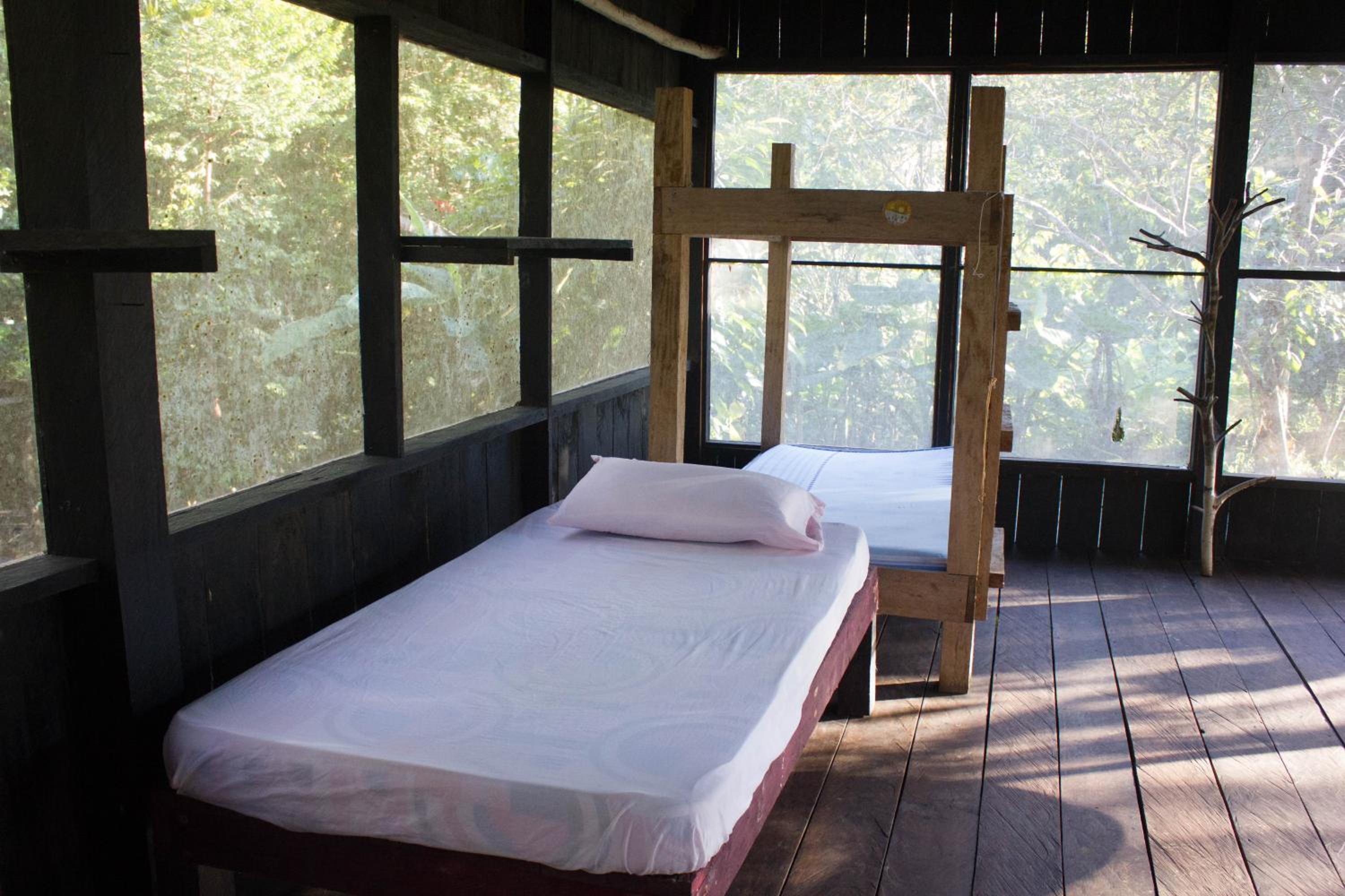 Bunk Bed in Mixed Dormitory Room