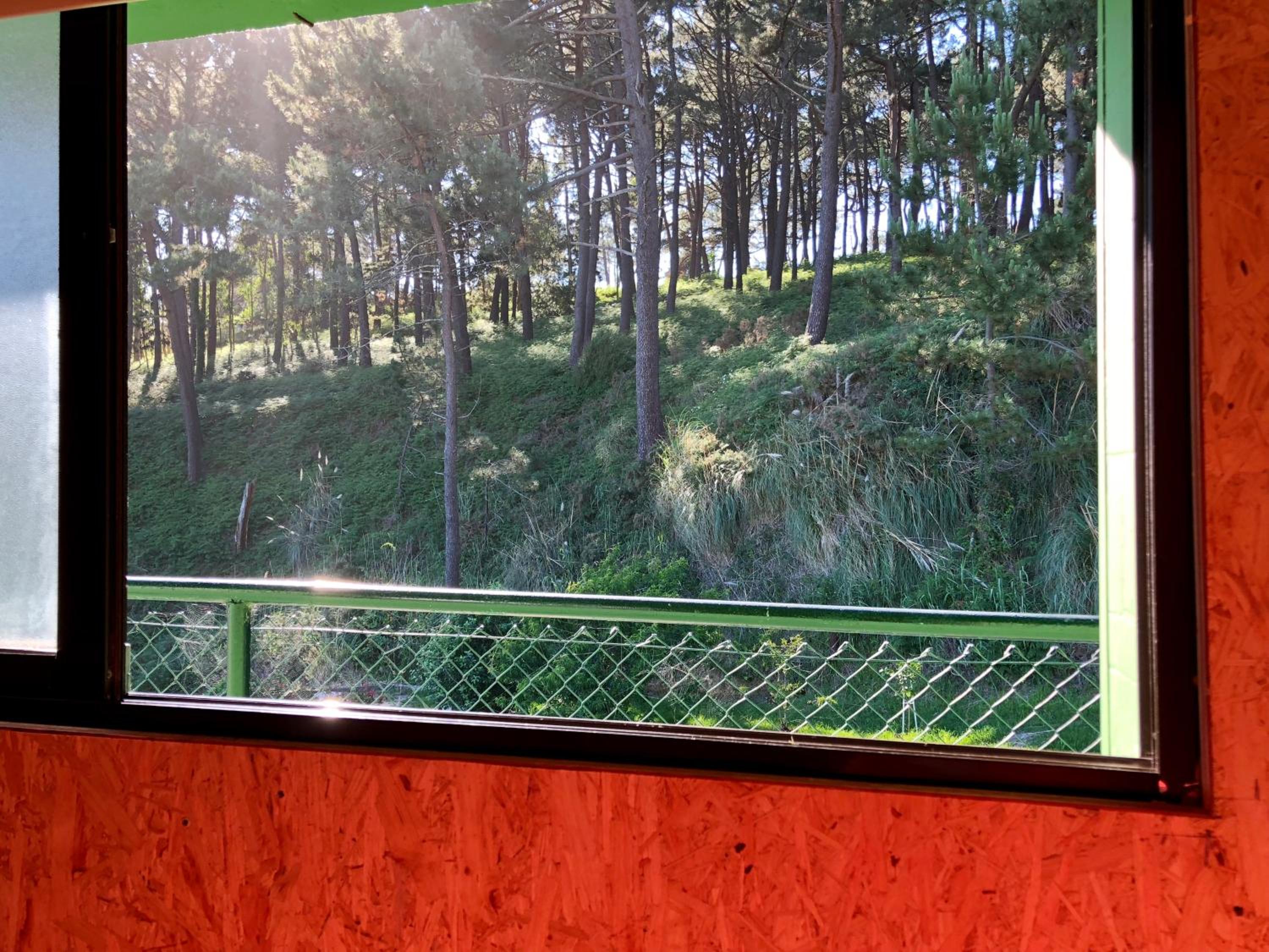 Apartment with Garden View photo 2