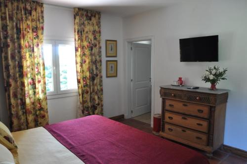 Deluxe Double or Twin Room photo 3