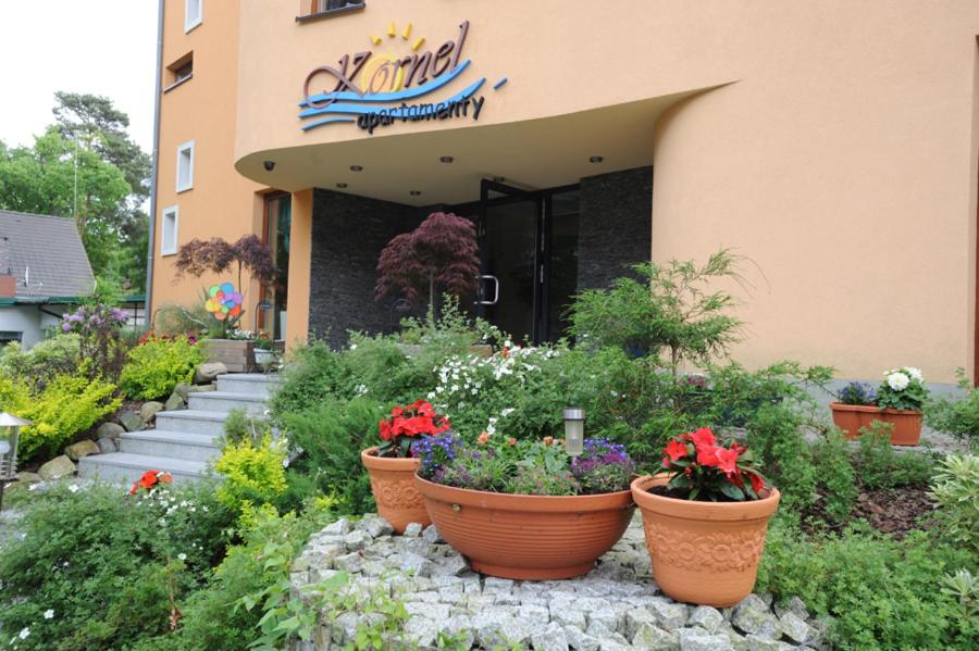 Apartment with Balcony - Photo 1