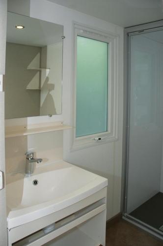 Mobile Home photo 2