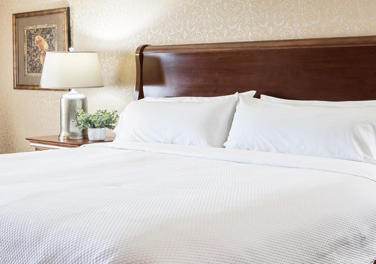 Superior Single Room photo 2