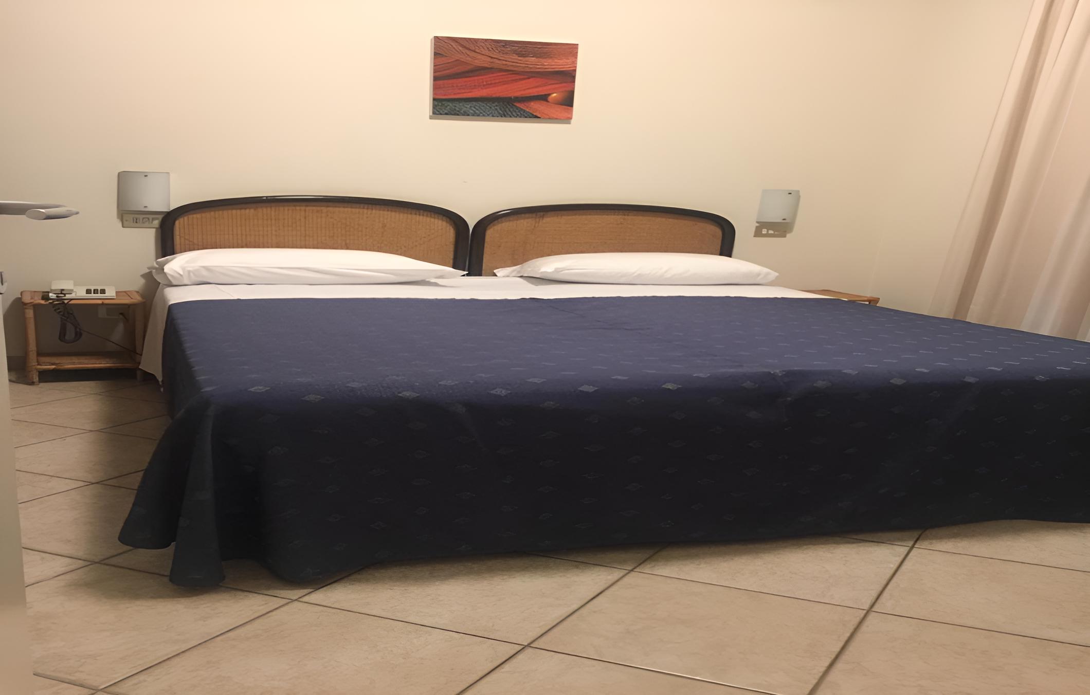 Standard Double or Twin Room photo 1