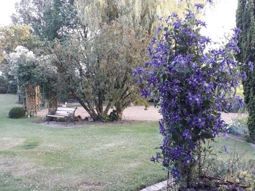 Double Room with Garden View photo 1