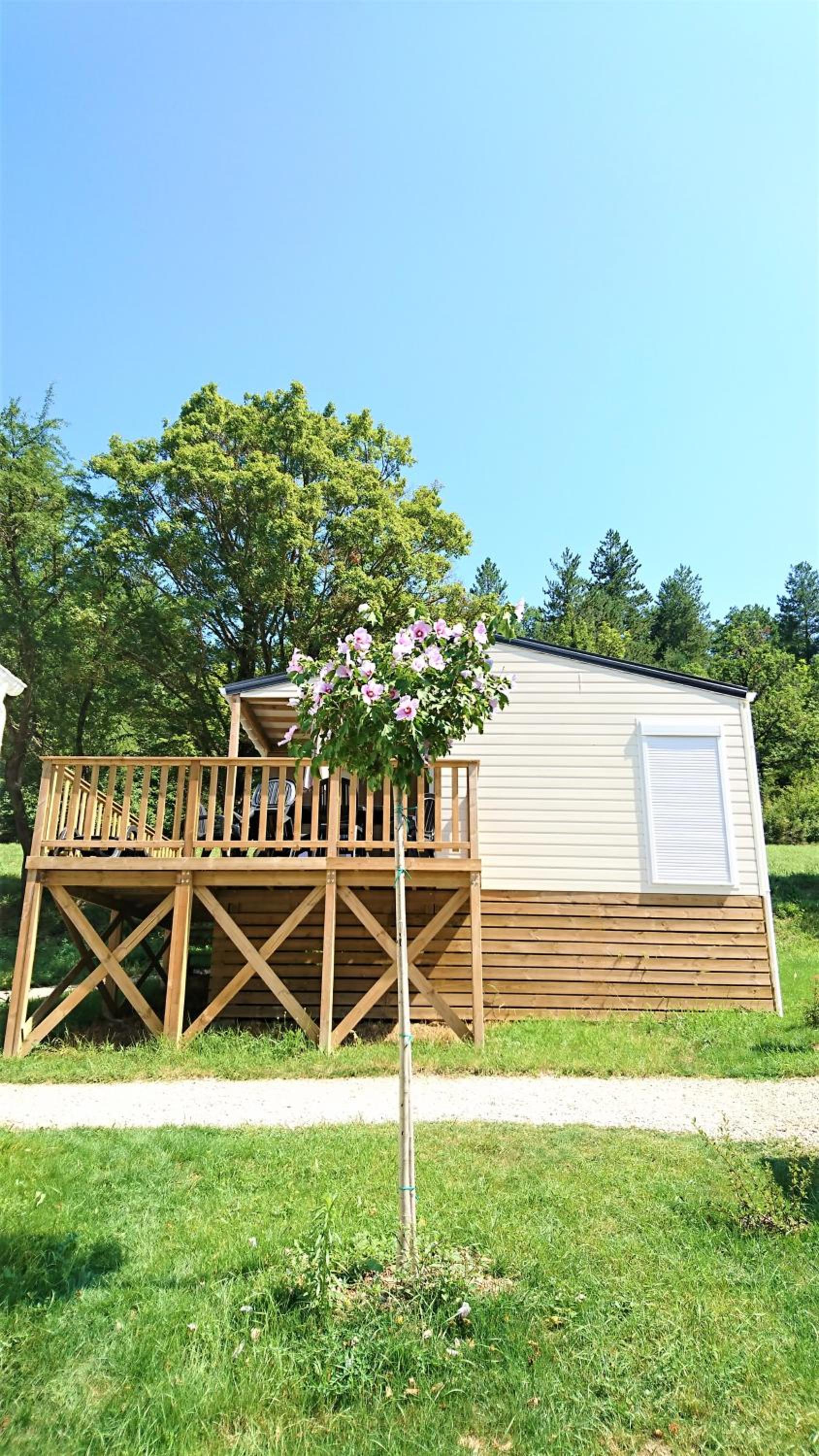 Three-Bedroom Chalet photo 2